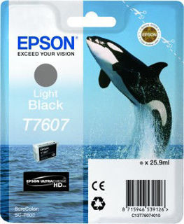 Picture of T7607 Light Black Ink Cartridge - 25.9ml