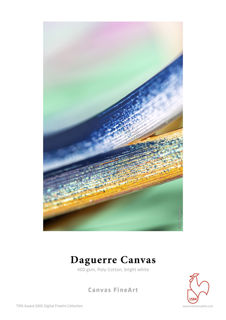 Picture of Daguerre Canvas - 17in