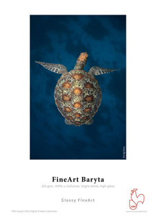 Picture of FineArt Baryta - 60in