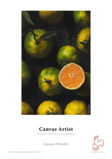 Picture of Canvas Artist - 24in