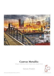 Picture of Canvas Metallic - 17in